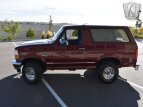 Thumbnail Photo 5 for 1996 Ford Bronco